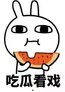 娱乐吃瓜仔er,吃瓜仔er带你探秘明星幕后故事