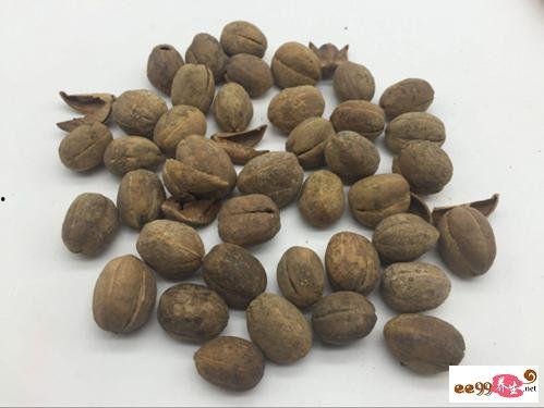 吃瓜爆料小巴豆