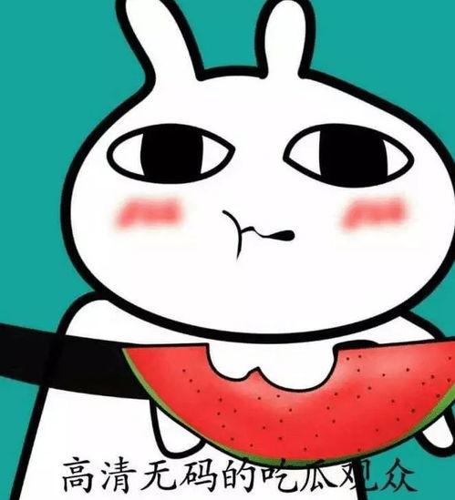 吃瓜表情包头像女